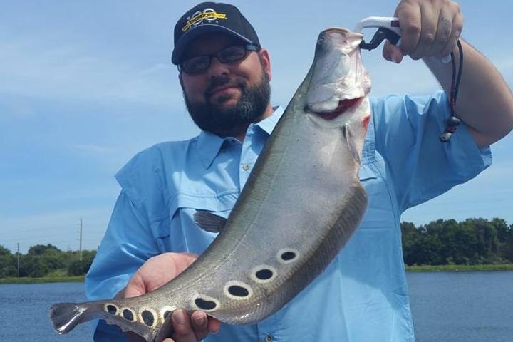 Peacock Bass Fishing Trips Near Boca Raton - thumb 3