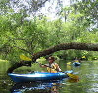 Guided Family Friendly Kayak Tour Experience Old Florida - Accommodation Los Angeles