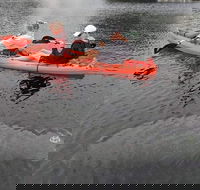 4 Hour Single Kayak Rental In Crystal River Florida - Accommodation Los Angeles