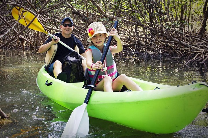 Fully Guided Kayaking Backwater Manatee And Dolphin Tour - thumb 1
