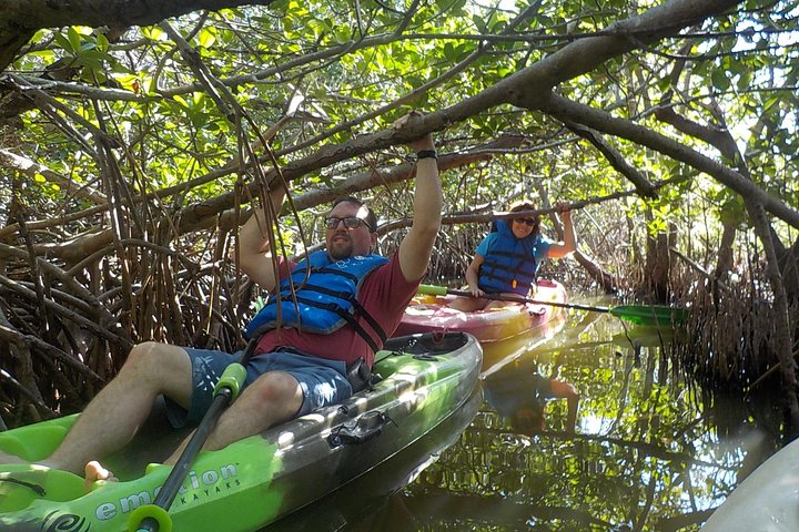 Fully Guided Kayaking Backwater Manatee And Dolphin Tour - thumb 2