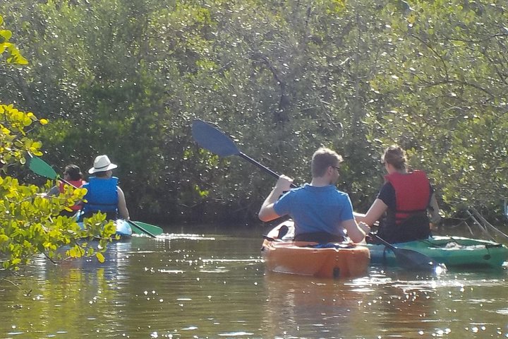 Fully Guided Kayaking Backwater Manatee And Dolphin Tour - thumb 4