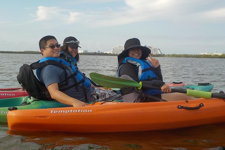 Fully Guided Kayaking Backwater Manatee And Dolphin Tour - thumb 5