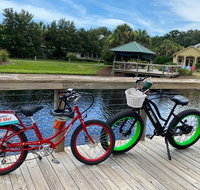 Electric Bike Tours in Amelia Island - Accommodation Los Angeles