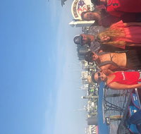 Dolphin Tour Thrill Ride - Accommodation Los Angeles
