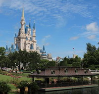 Arrival Private Transfer Port Canaveral to Orlando by Minibus - Accommodation Los Angeles