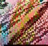 Craft Food Tour in Delray Beach - Accommodation Los Angeles