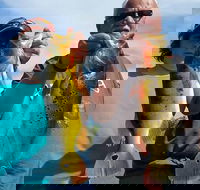 All Day Bass Fishing Trip near Boca Raton - Accommodation Los Angeles