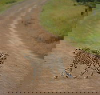 Tanzania safari 1- Day - ARUSHA NATIONAL PARK VISIT - Accommodation Los Angeles