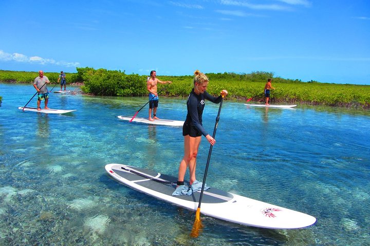 SUP Paddleboard Lesson And Tour - Port Canaveral & Cocoa Beach - thumb 0