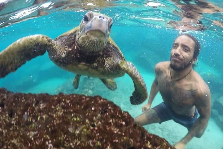 Ultimate Ocean Encounters Midday Snorkel - thumb 3