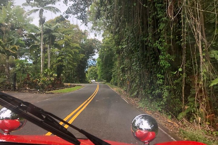 Unique Buggy Rental On The Big Island, Hawaii - thumb 3