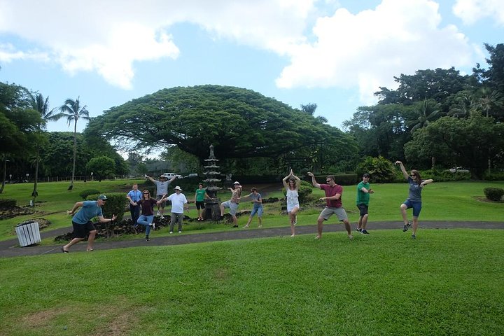 Black Sand Beach, Winery (or Coffee) And Volcanoes National Park - thumb 1