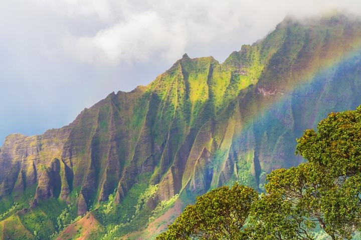 Intimate Waimea Canyon Half Day Eco Fun Tour From South Kauai - thumb 3