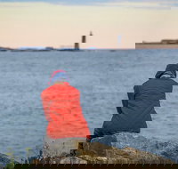 Portland Maine City  Lighthouse Tour- 2 Hours - Accommodation Los Angeles