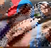 Adventurous Scavenger Hunt in Detroit by Zombie Scavengers - Accommodation Los Angeles