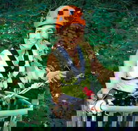 Fully Guided Zipline Canopy Tour through Kentucky River Palisades - Accommodation Los Angeles