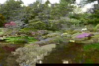 Birch Island Me Accommodation Los Angeles