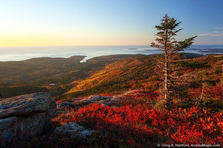 Acadia National Park Private Group Tour- 5 Hours Local Guides - thumb 2