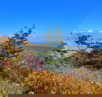 The Best of Maine Private Boutique Full Day Tour - Accommodation Los Angeles