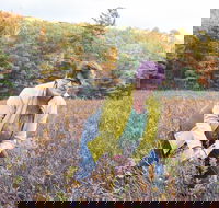 Guided Foraging - Mushroom Hunting Experiences - Accommodation Los Angeles