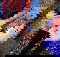 Sea Kayak Tour in Casco Bay - Accommodation Los Angeles