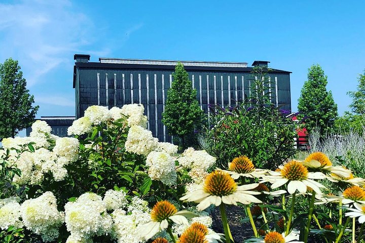 Bourbon Distillery Tours And Tastings- Half Day - thumb 3