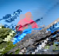 Branson Alpine Mountain Coaster Ticket - Accommodation Los Angeles