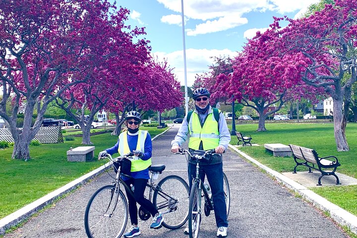 2-hrs. Islands & Harbor Bike Tour 