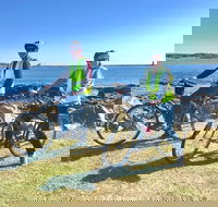 3.5hrs Coastal Tour Visit the Coastline Tucked Away Seaside Villages Mansions - Accommodation Los Angeles