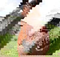 Keep Calm and Brush On - Accommodation Los Angeles