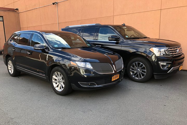 Private Arrival Transfer From Minneapolis Airport MSP - thumb 3