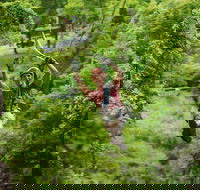 Zipline Canopy Tour in Branson - Accommodation Los Angeles