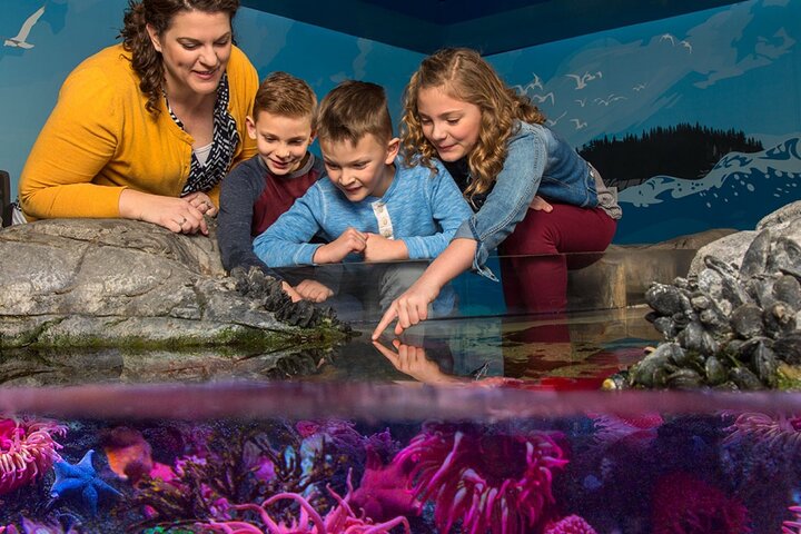 SEA LIFE New Jersey At American Dream - thumb 0