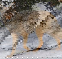 Summer All-In-One - Accommodation Los Angeles