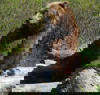 Alaska Wildlife Visit 1-hr. Glacier Cruise Adventure  Anchorage City Tour - Accommodation Los Angeles