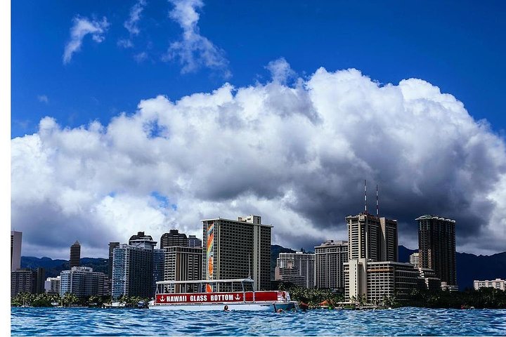 Waikiki Beach Glass Bottom Boat Cruise - thumb 3