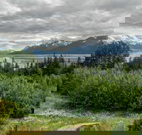 Alaska Wildlife Day Tour with Free Hotel Pickup - Accommodation Los Angeles