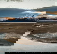 Tour of Turnagain Arm - Accommodation Los Angeles