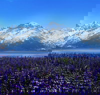 Alaska Wildlife Conservation Center Express - Accommodation Los Angeles