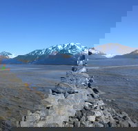 Wildlife and Glaciers with a walk in the Rainforest - Accommodation Los Angeles