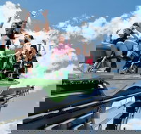 The STRAT Tower Unlimited Ride Pass Ticket - Accommodation Los Angeles