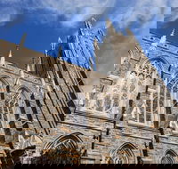 Scavenger Hunt Books and Basketball at Duke University - Accommodation Los Angeles