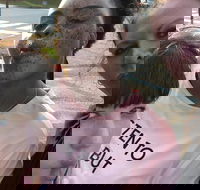 Scavenger Hunt Adventure in Pittsburgh by Crazy Dash - Accommodation Los Angeles