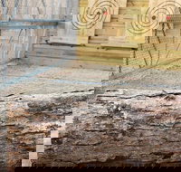 Axe Throwing Training - Accommodation Los Angeles