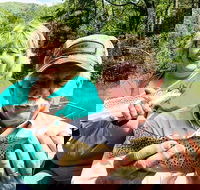 Full Day Float Trip - Accommodation Los Angeles