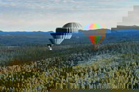 Burdock Sd Accommodation Los Angeles