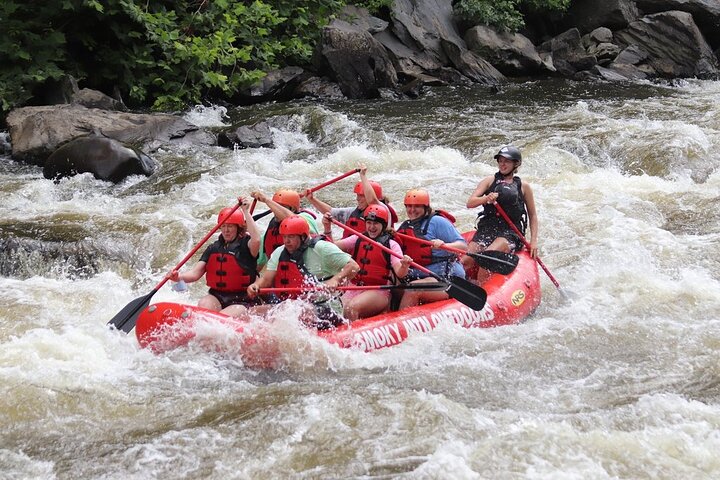 Upper Pigeon River Rafting Trip From Hartford - thumb 2