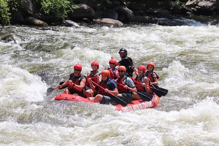 Upper Pigeon River Rafting Trip From Hartford - thumb 4