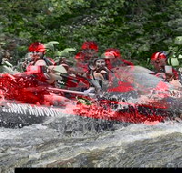Lower Pigeon River Rafting Tour - Accommodation Los Angeles